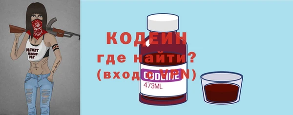 хмурый Каменногорск